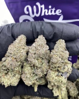 White Runtz (Hybrid)