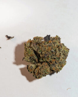 Strawberry Cough (Sativa)